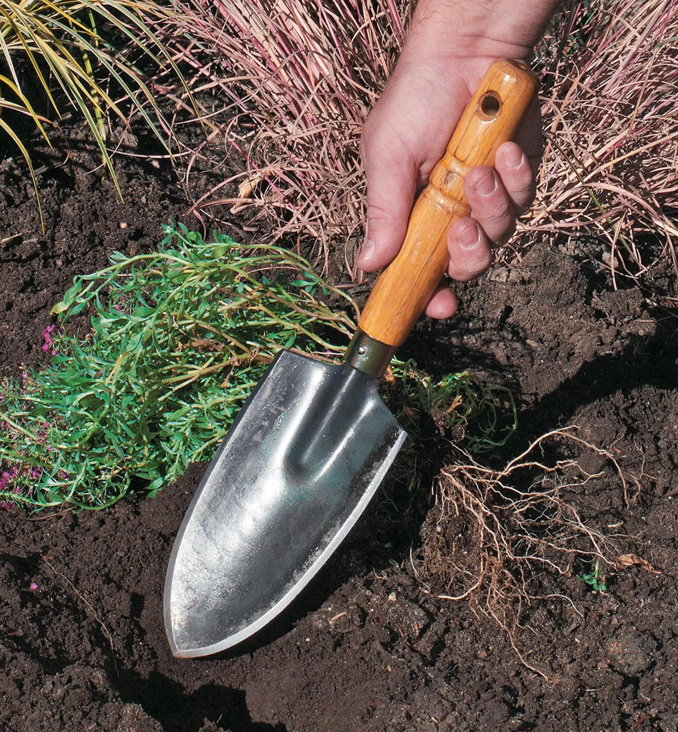 Lee Valley Forged Japanese Trowel - Thumbnail 4